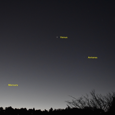 金星・水星・地球照