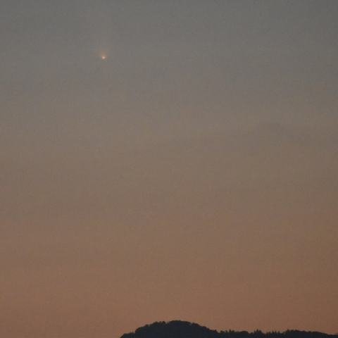 紫金山・アトラス彗星