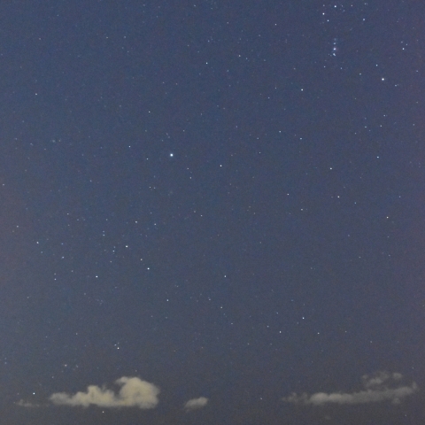 南中のカノープスと冬の大三角