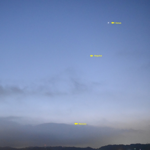 日の出前の金星水星レグルス