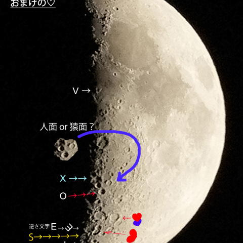 月面 LOVE(S)+ X +ハート+人面・猿面