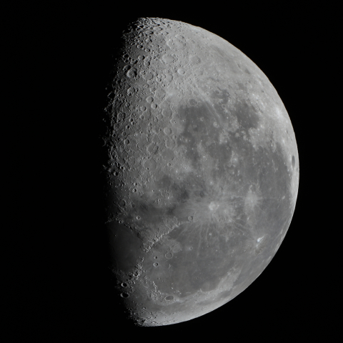 月齢20.2　2019/03/27