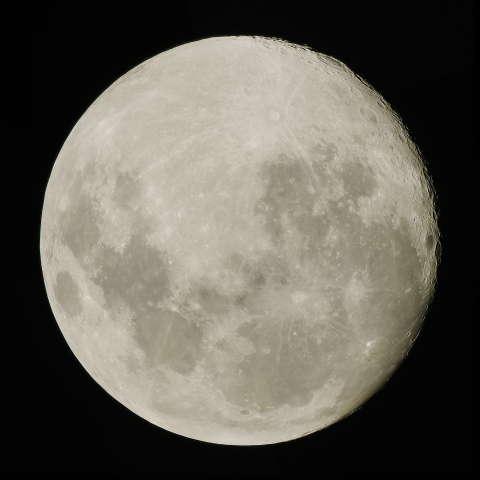 月齢13.8　2020/03/08