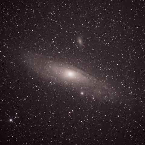 M31