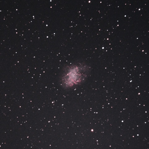 かに星雲（M1）