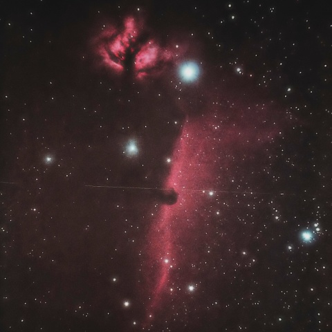 オリオン　馬頭星雲