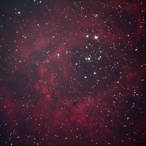 バラ星雲（NGC 2237-9, NGC 2246）