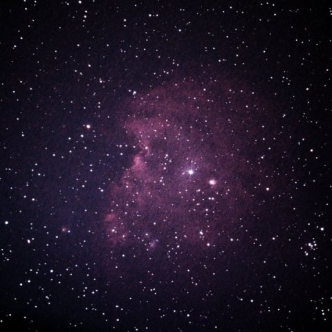 モンキー星雲（NGC 2174）