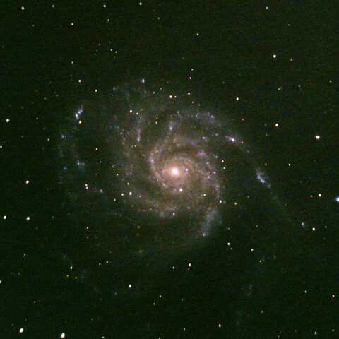M101（回転花火銀河）  20220630