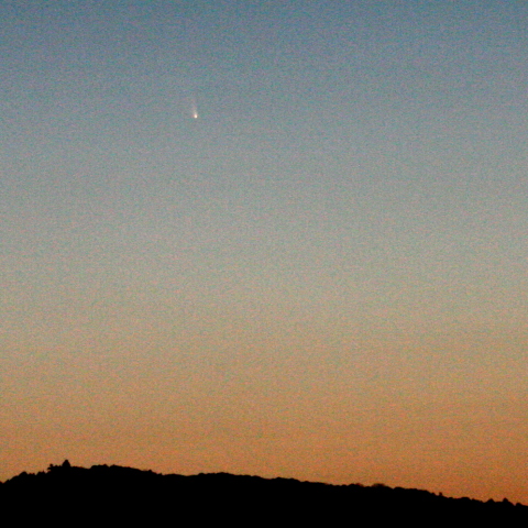 九州からパンスターズ彗星☆彡 