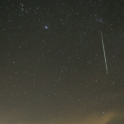 今年も豊作ふたご流☆彡