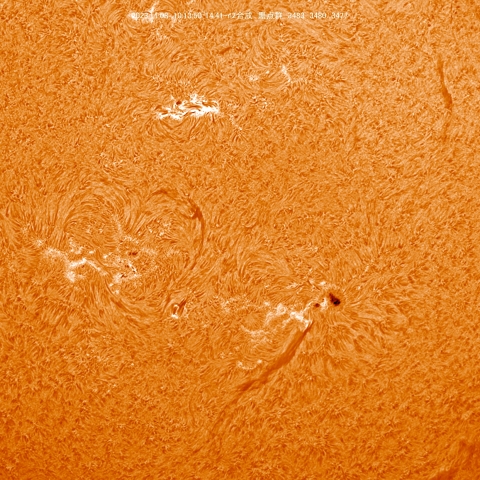 11/8 黒点群付近拡大