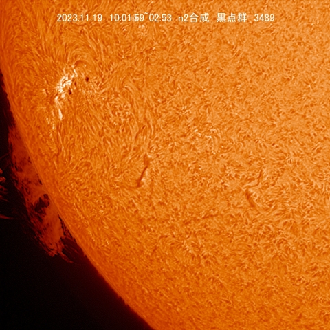 11/19 ﾌﾟﾛﾐﾈﾝｽ拡大