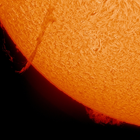 11/22  ﾌﾟﾛﾐﾈﾝｽ