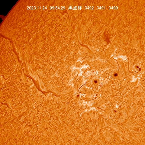 11/24  黒点群付近拡大