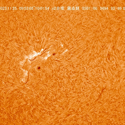 11/25  黒点群付近拡大