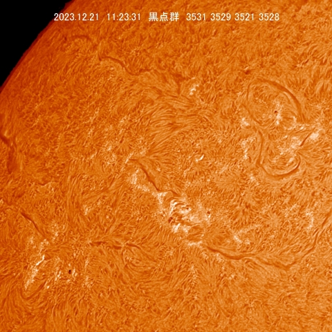 12/21　黒点群付近拡大