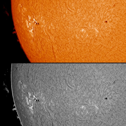 2/6  黒点群付近拡大