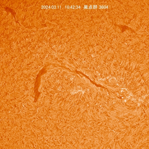 311 黒点群3604付近