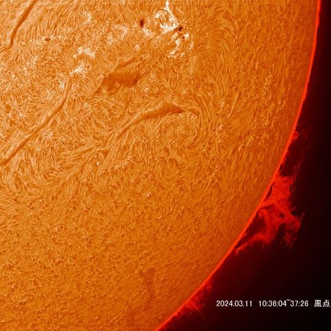 311 黒点群3605～3599付近