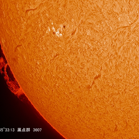 3/13 黒点群3607付近拡大