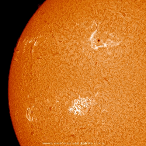 3/22 黒点群付近拡大