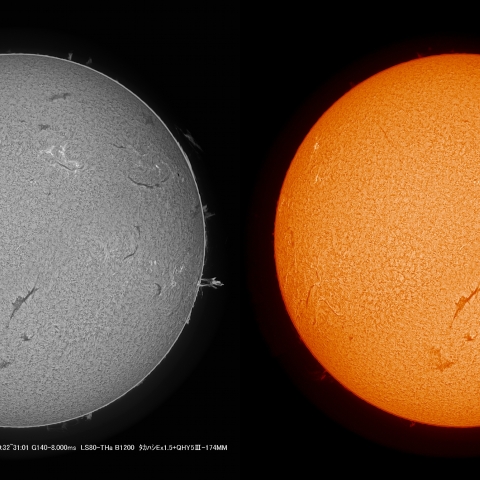 3/31 Ｈα ﾌﾟﾛﾐﾈﾝｽ
