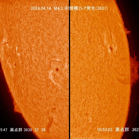 4/14  ﾌﾟﾛﾐﾈﾝｽ拡大