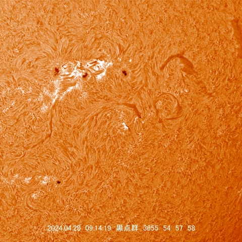 4/28  黒点群付近拡大