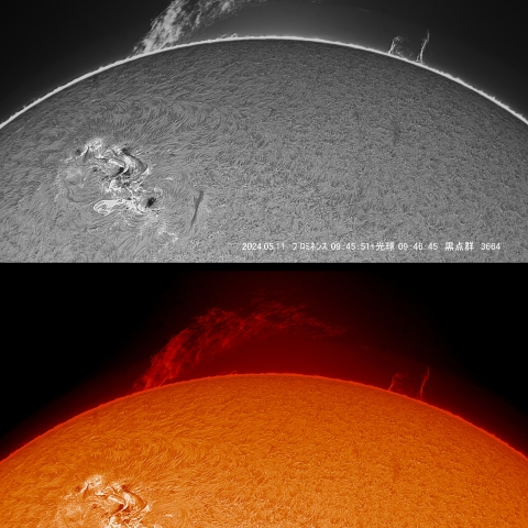 5/11  黒点群付近拡大
