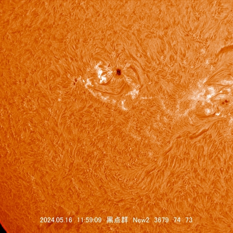 5/16  黒点群付近拡大