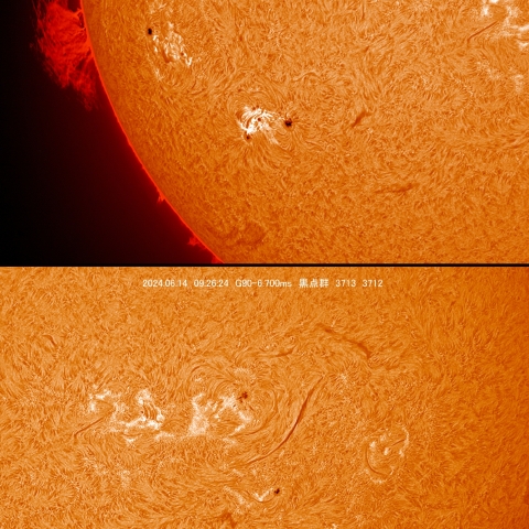 6/14　黒点群付近拡大