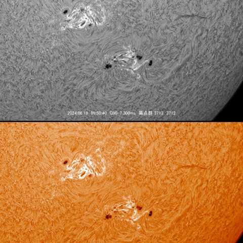 6/19　黒点群付近拡大