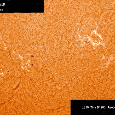 6/27　黒点群付近拡大