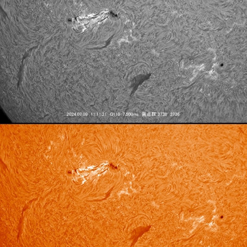 7/9 黒点群付近拡大