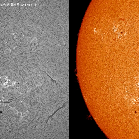 7/13 黒点群付近拡大