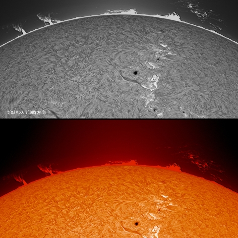 7/26  ﾌﾟﾛﾐﾈﾝｽ