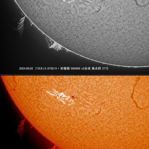 8/2 ﾌﾟﾛﾐﾈﾝｽ