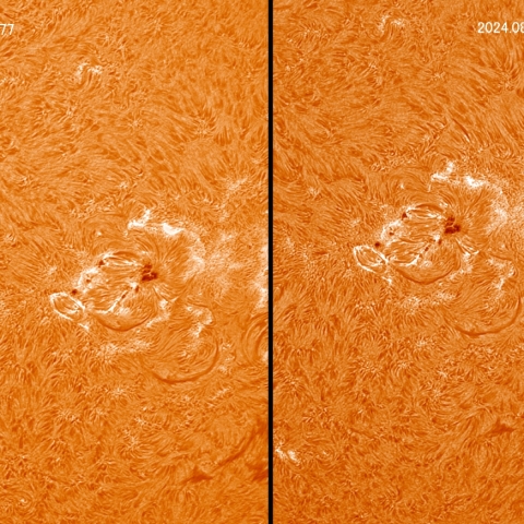 8/7 黒点群付近拡大