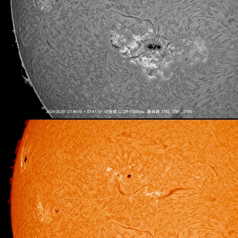8/9 黒点群付近拡大