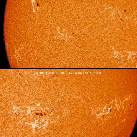 8/11  黒点群付近拡大