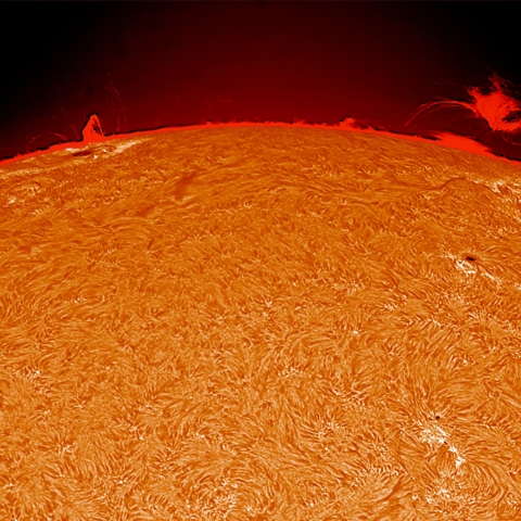 8/21  ﾌﾟﾛﾐﾈﾝｽ