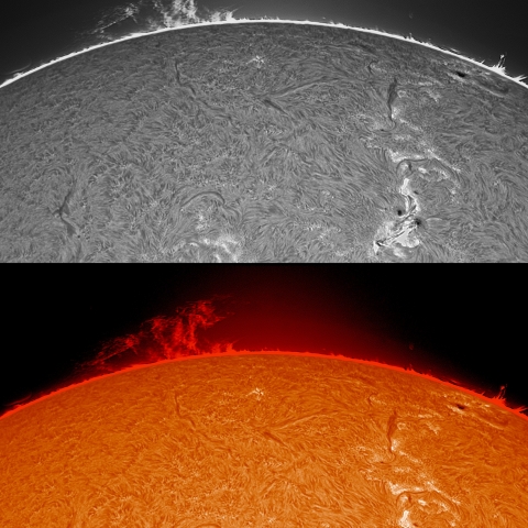 8/21  プロミネンス拡大（８時方向）