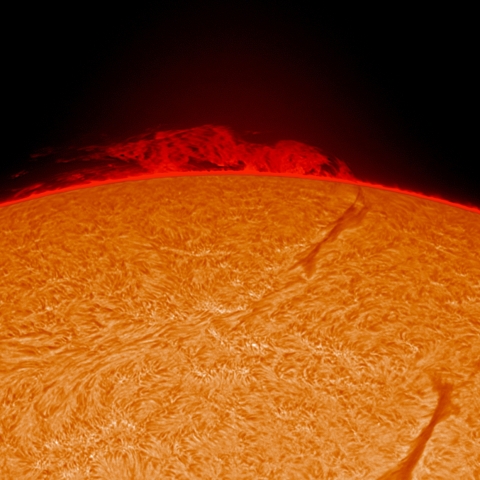 9/20  ﾌﾟﾛﾐﾈﾝｽ