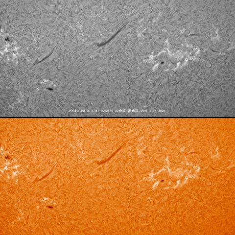 9/20  黒点群付近拡大