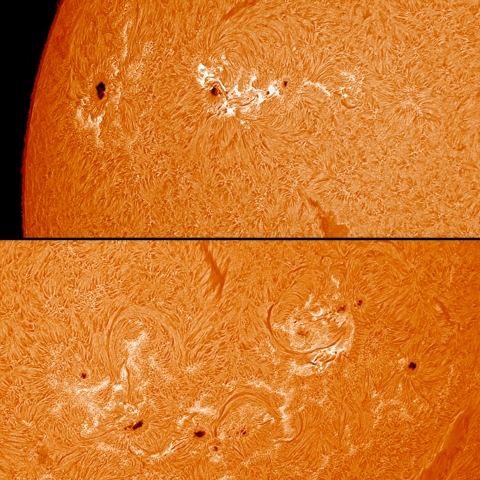 10/31  Ｈα太陽（黒点群付近拡大）