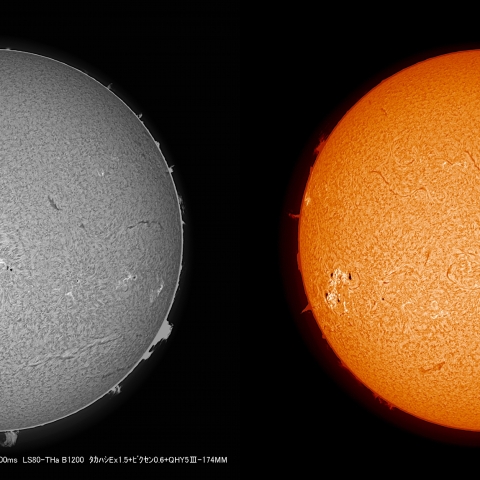 11/24 太陽Hα画像