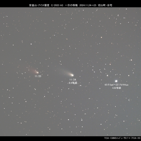  紫金山・ｱﾄﾗｽ彗星 C/2023 A3  一日の移動（11/24→25）