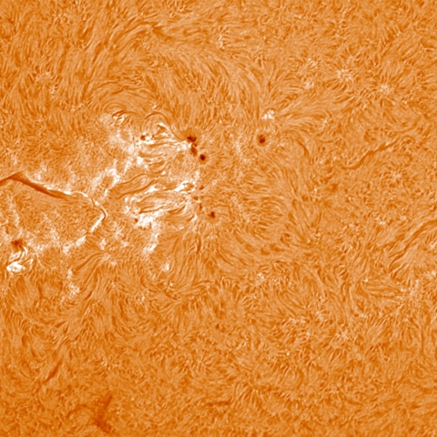 12/23 黒点群付近拡大