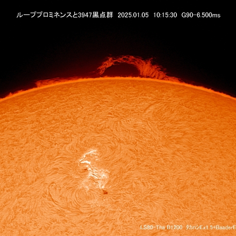 1/5 ループプロミネンス